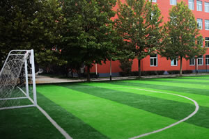 北京新府学外国语学校