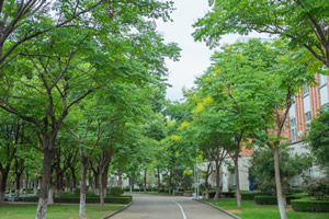 北京市博文学校
