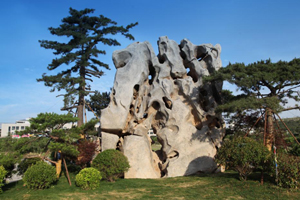 山东警察学院成人高考校园风景