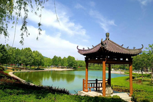 山东中医药大学成人高考校园一角