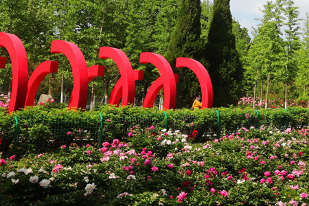 济南大学成人高考校园一景