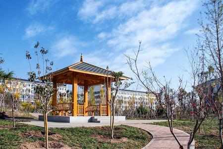 齐鲁医药学院成人高考校园风景