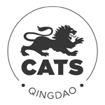 国际高中A-level工程学课程