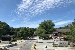  韩国成均馆大学本科