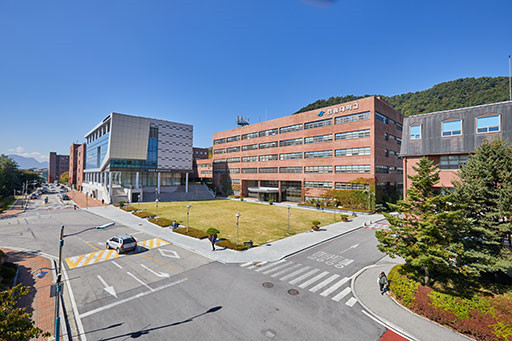 韩国翰林大学本科