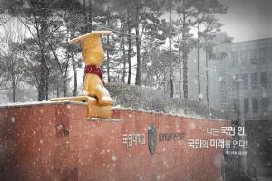 韩国国民大学本科