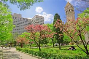 韩国世宗大学本科