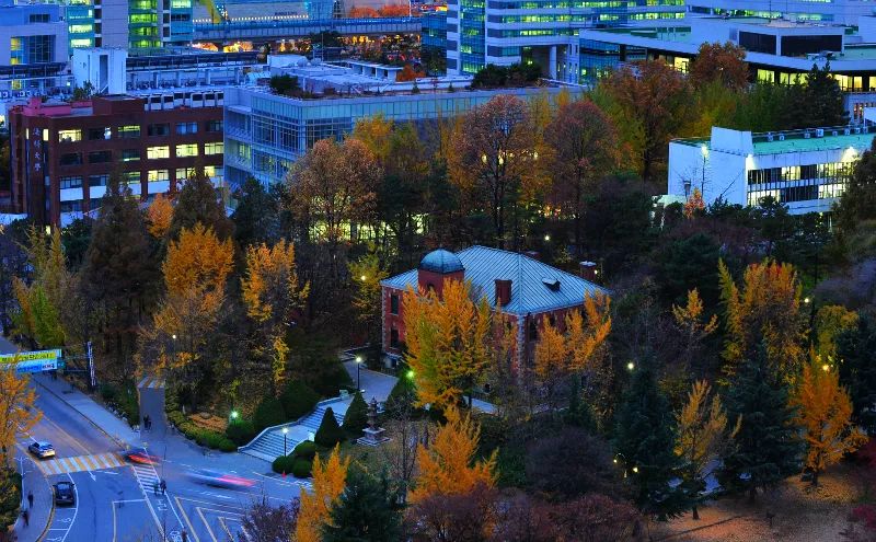 韩国建国大学研究生