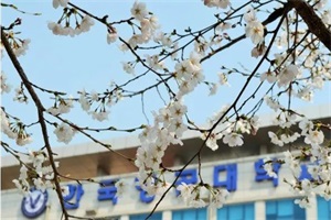 韩国航空大学专升本