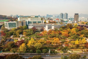 校园秋景