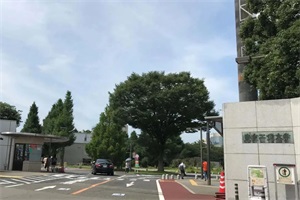 日本东京工业大学本科