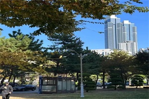 韩国釜庆大学专升本