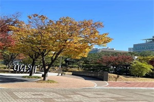 韩国釜庆大学本科