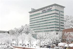 校园雪景