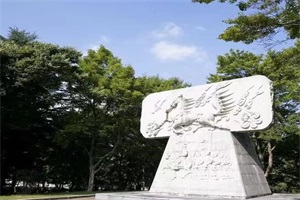 韩国岭南大学专升本