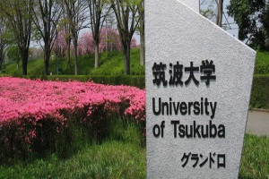 日本筑波大学本科