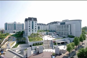 俯瞰图