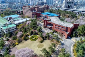 俯瞰图