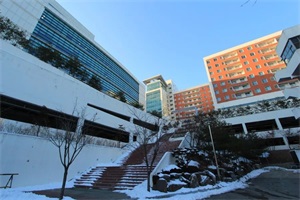 韩国江南大学中文授课硕士研究生