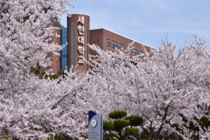 韩国世翰大学本科