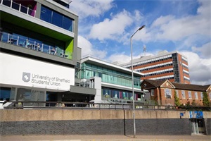 英国谢菲尔德大学本科