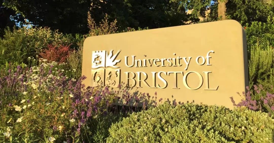 英国布里斯托大学本科
