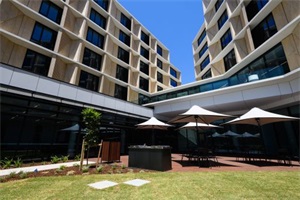 澳大利亚麦考瑞大学本科