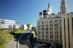加拿大蒙特利尔大学本科
