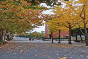 韩国国民大学中文博士 