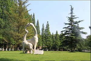 青岛农业大学海都学院成人高考校园