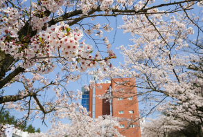 韩国灵山大学中文专升本