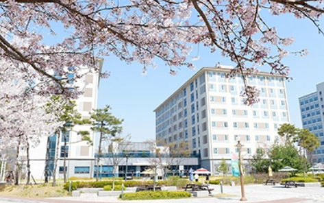 韩国顺天乡大学本科留学