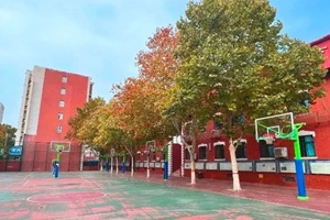 嘉贝国际高中（43中校区）