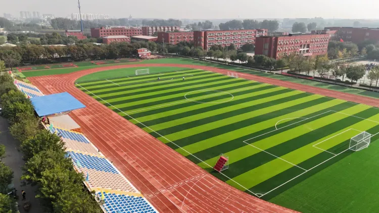 博文学校俄罗斯大学预备班项目