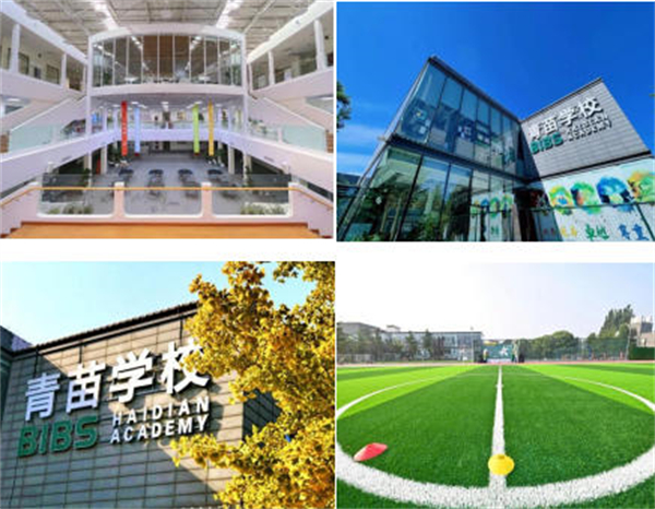 青苗学校海淀校区
