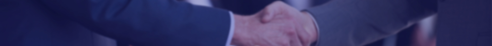 ˾