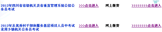 2012年四川乡镇公务员考试报名入口
