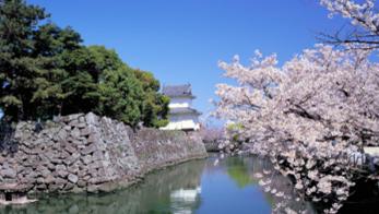 �ձ���ѧ���ձ���Уʮ��Ҫ�ؽ���