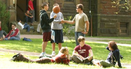 ���ô���ѧרҵѡ�����