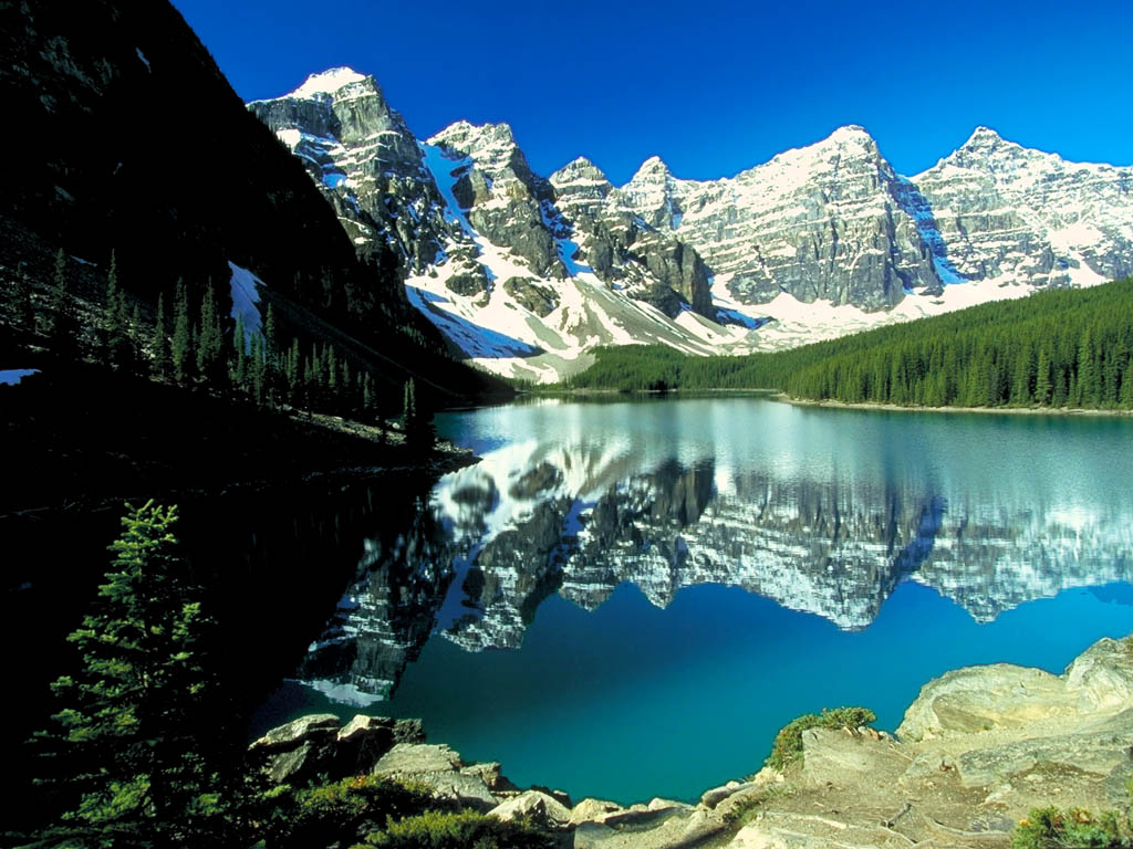 加拿大知名公司【相关词_ 加拿大转运公司】