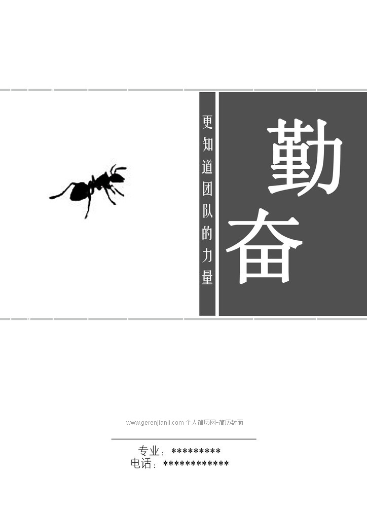 2013黑白简历封面:团队的力量