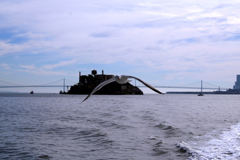 美国夏令营著名景点:天使岛
