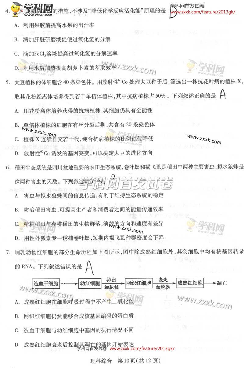 2013四川理综卷图片版