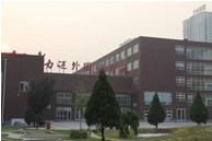 ʸ