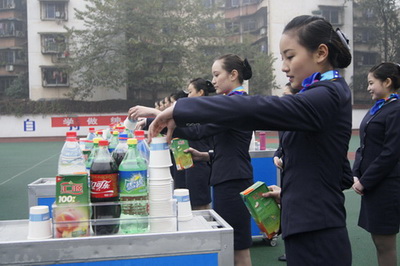 民航服务专业的职业生涯规划论文-职业规划-- 