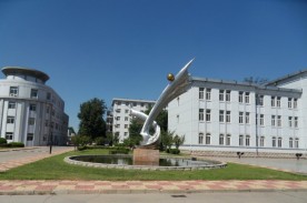߼Ա