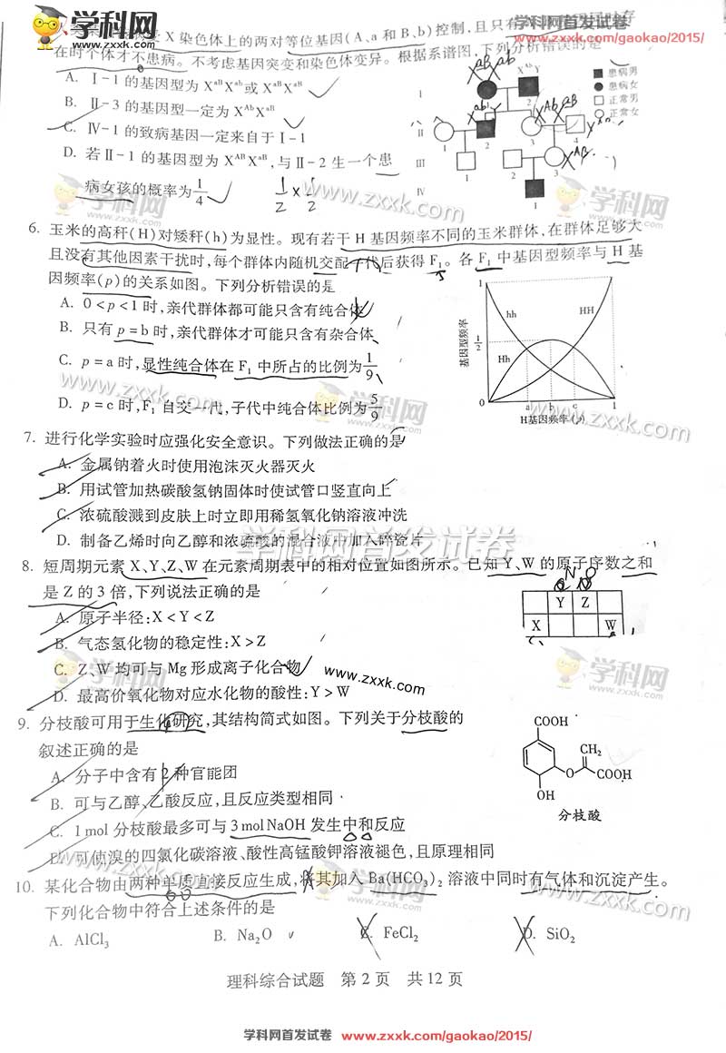 2015年山东高考理科综合试题及答案解析