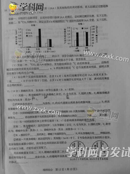 2015年四川高考理科综合试题及答案解析