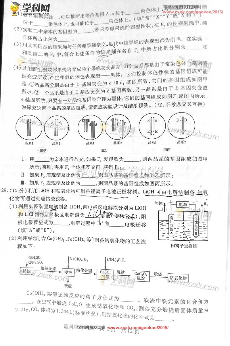 2015年山东高考理科综合试题及答案解析