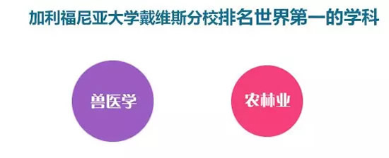 ���ݴ�ѧ��ά˹��Уרҵ